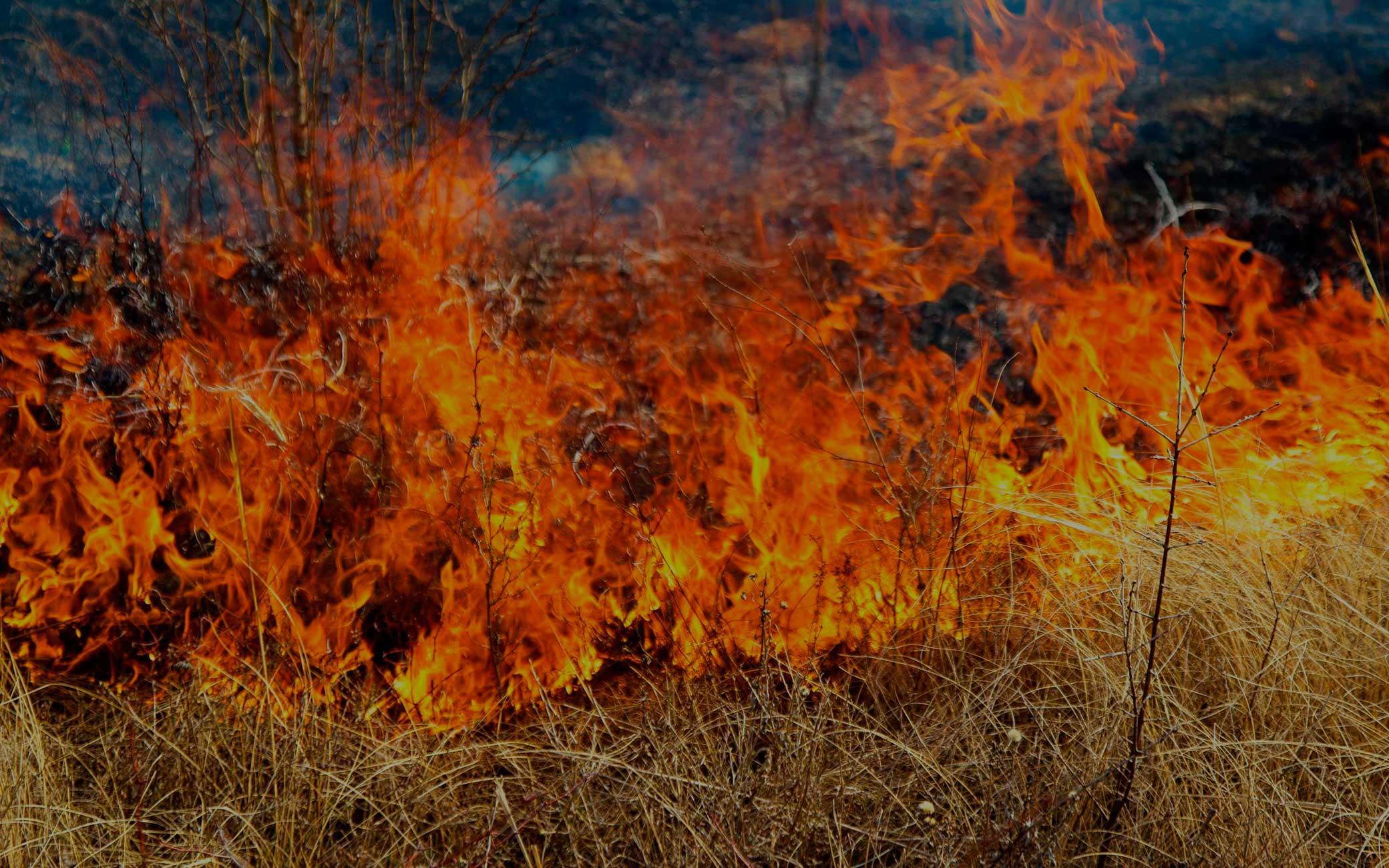 Open Burning in New York Guilderland Fire Department